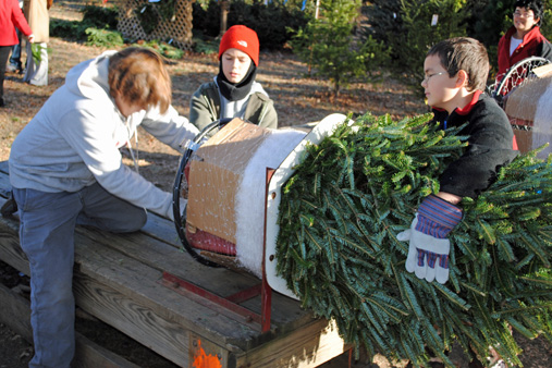 Christmas Tree Lot