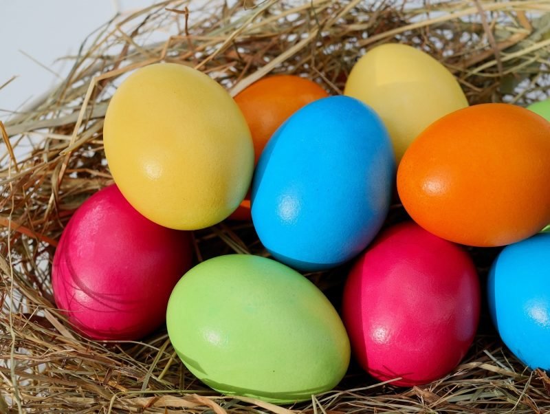 2019 Easter Eggstravaganza Picture