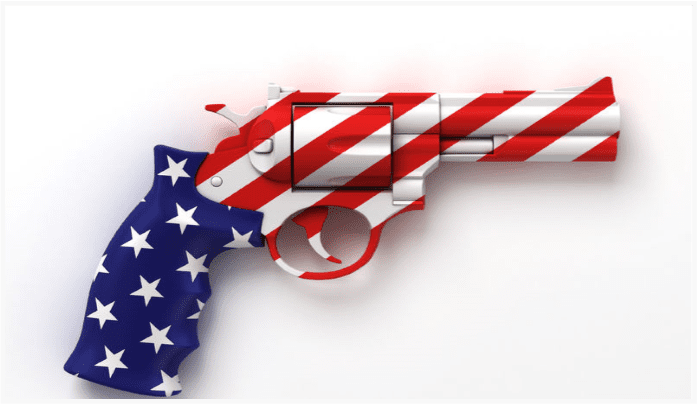 Gun