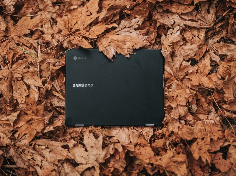 computer resting in a pile of orange fall leaves