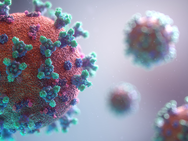 Image of a coronavirus