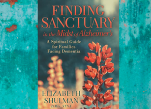 Finding Sanctuary Book 43