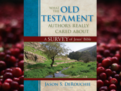 What the Old Testament Authors Really Cared About 43