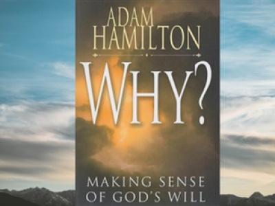 Why Making Sense of Gods Will 43