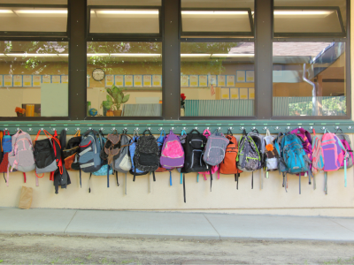 backpacks (16 x 9 in)