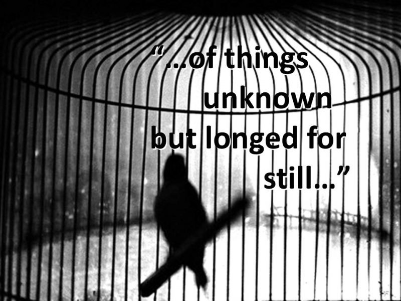 Black and white photo of caged bird.
