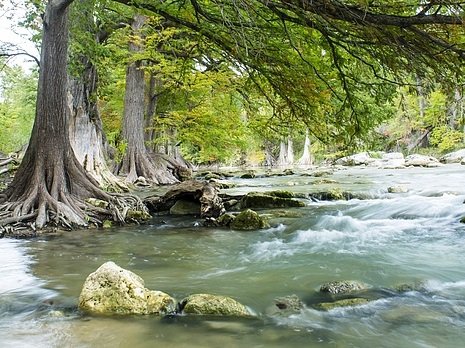 Photo of river flowing past a rock and a tree.