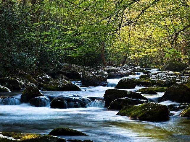 Photo of a river running through the forest over rocky terrain.