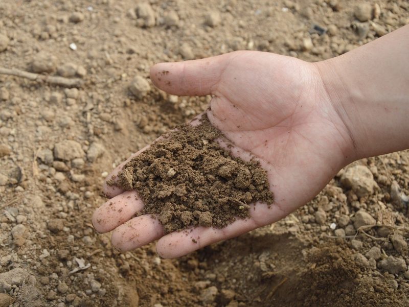 A hand grasping loose soil.